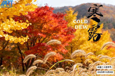 Cold Dew Special Sale on the F00RJ01479 Injector Valve Set