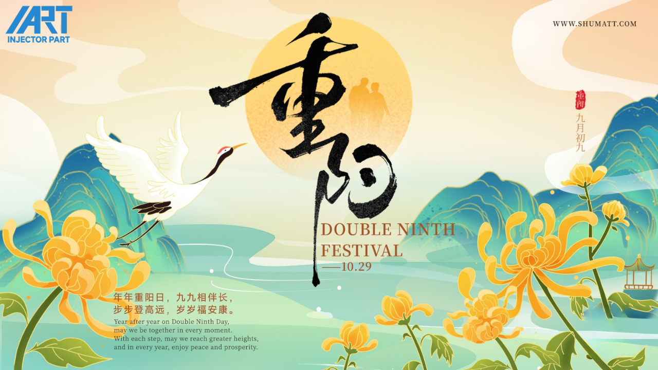 Chongyang Festival Sale: Honor Elders with F00VC01202 Injector Valve Set